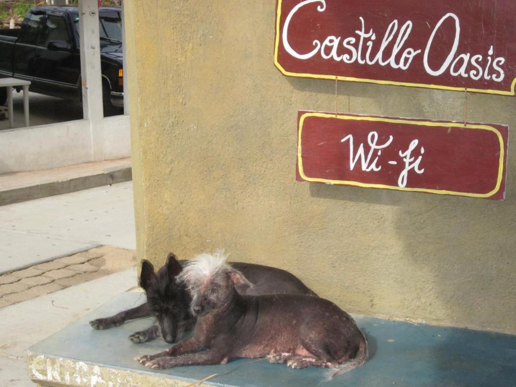 Castillo Oasis Zipolite Bagian luar foto